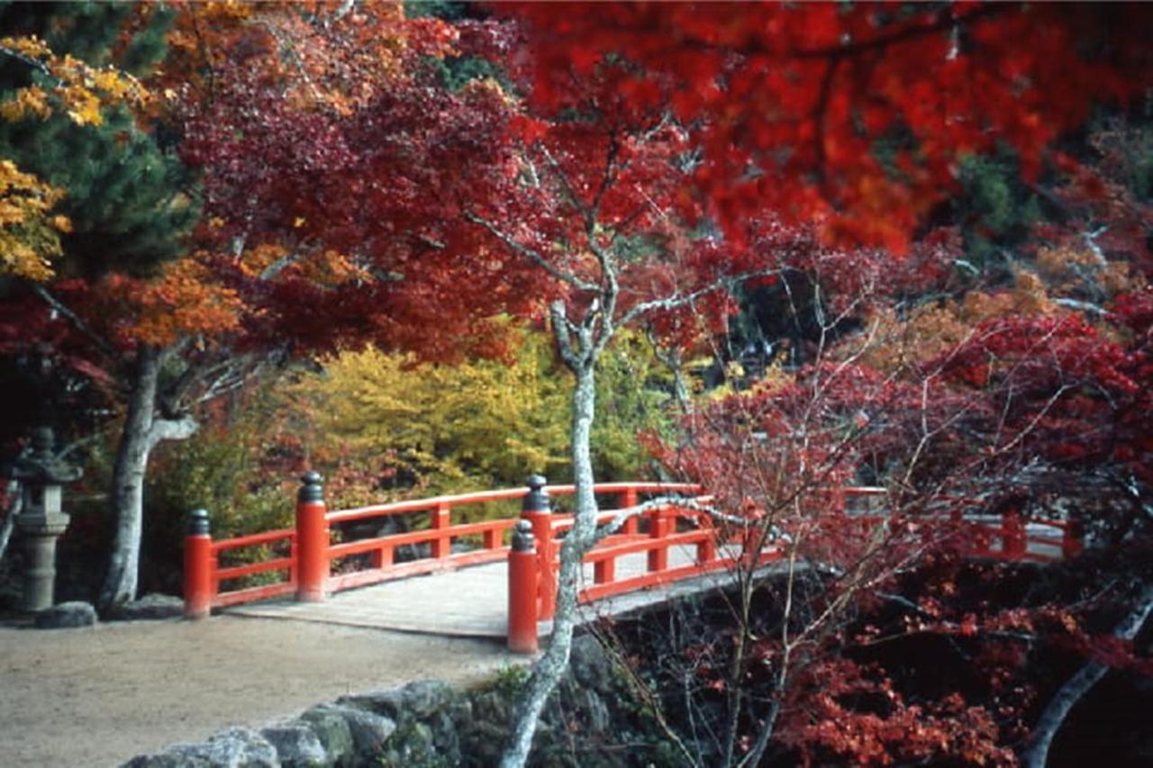 ホテル 宮島しろ 廿日市市 エクステリア 写真