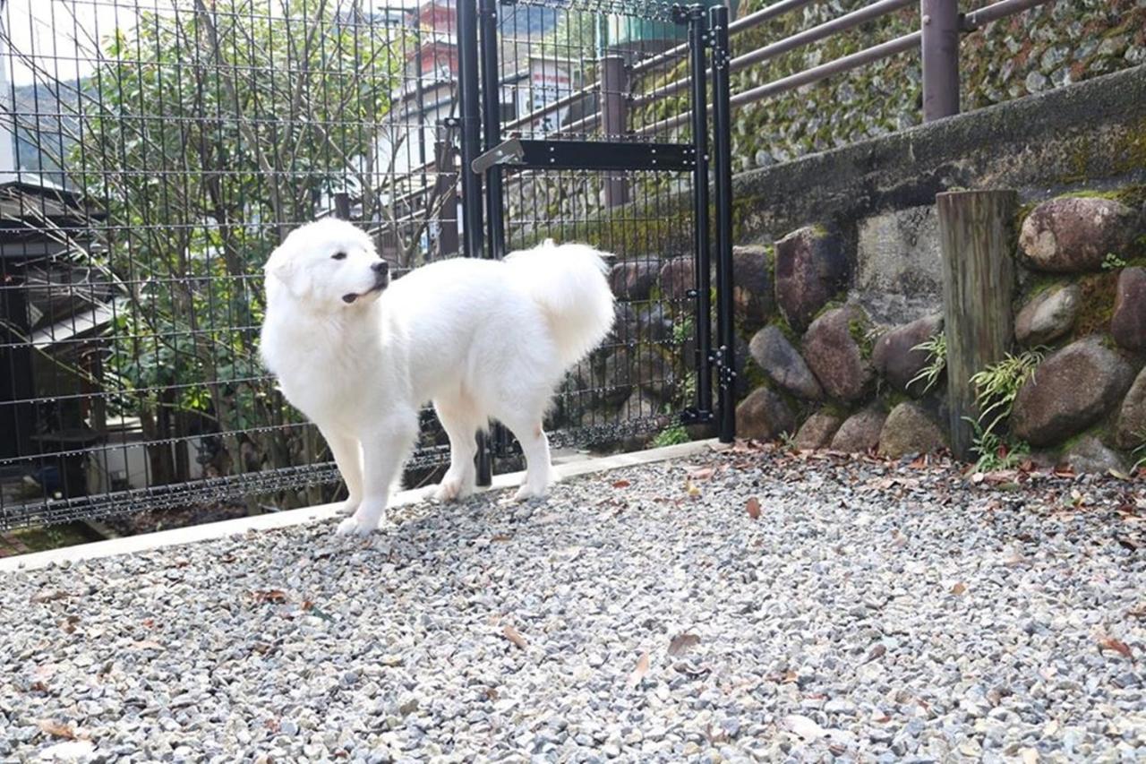 ホテル 宮島しろ 廿日市市 エクステリア 写真